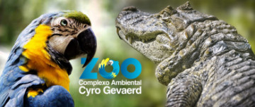 Oferta para Compartilhar