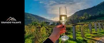 Oferta para Compartilhar