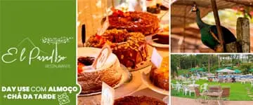 Oferta para Compartilhar